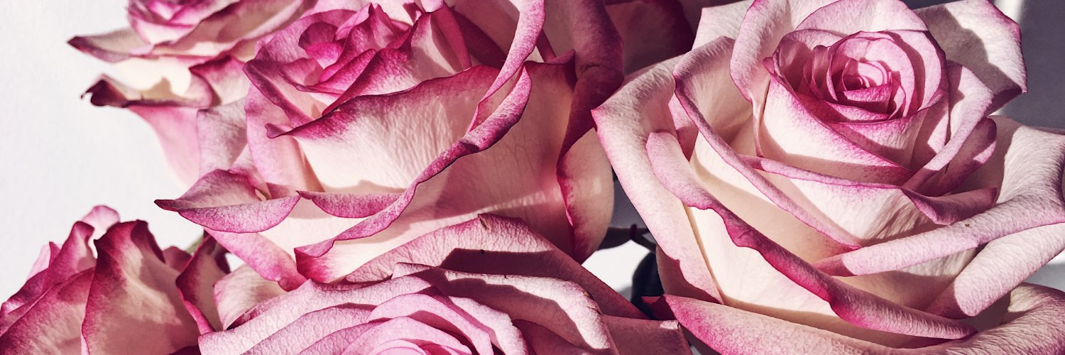 tillyreid_'s profile banner image