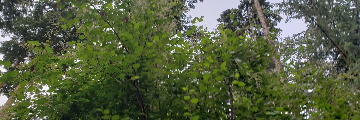 MojoSoDopee_'s profile banner image