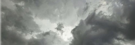 PetExula's profile banner image