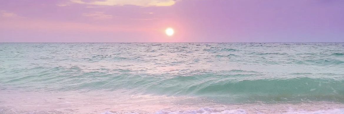 NMSchlogel's profile banner image