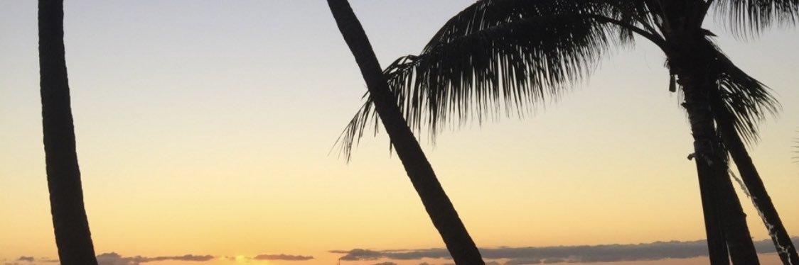 Auroredpm's profile banner image