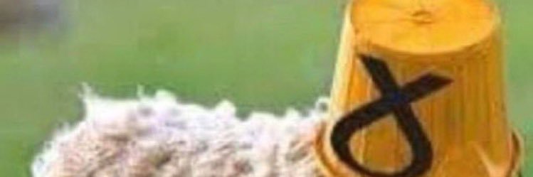 eviepops1972's profile banner image