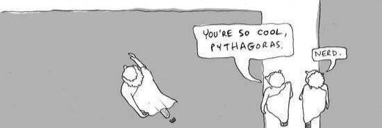 Elyssa Stoddard banner