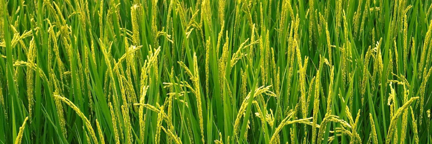 NZ Farm Environment banner