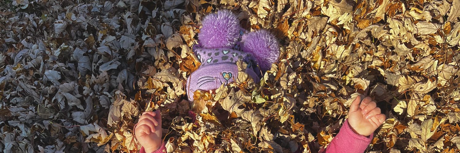 lacesmith_'s profile banner image