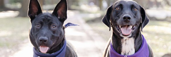jrobertsEDU Profile Banner
