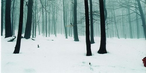 JayRPGHT2's profile banner image