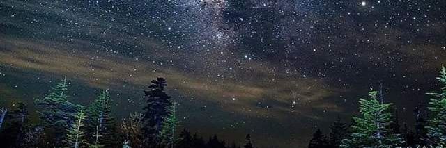 demari_rosa's profile banner image