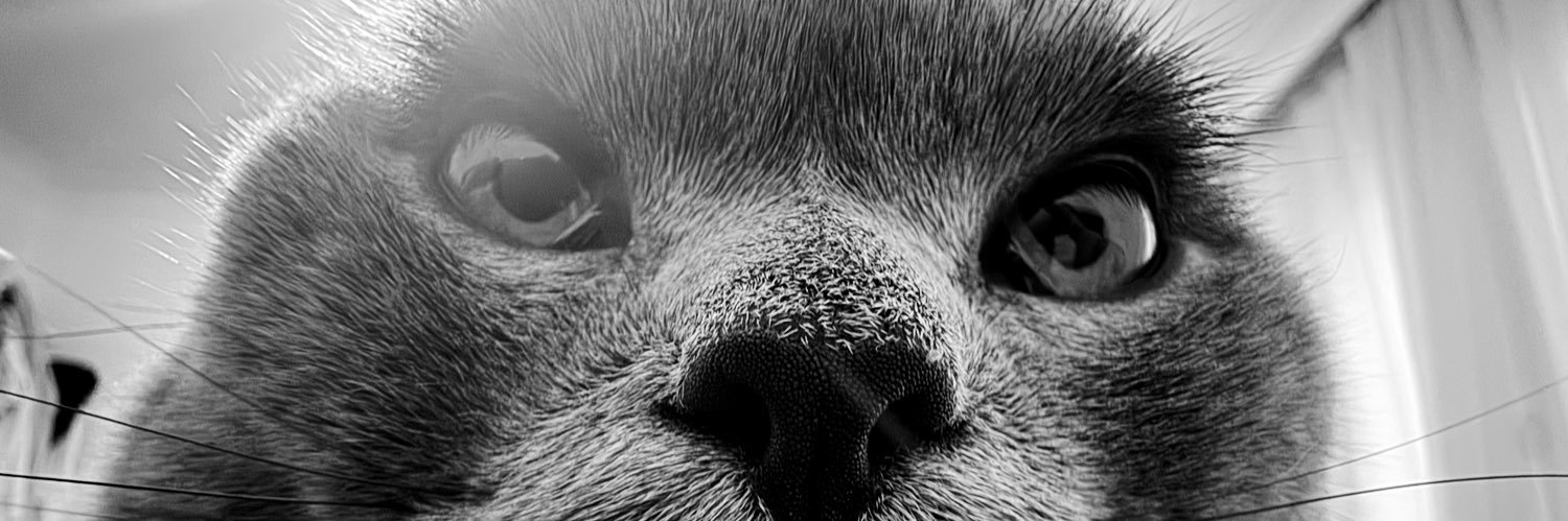 Alperen06tr's profile banner image