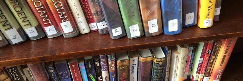 SCH Libraries banner