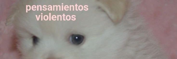 MichRi_So's profile banner image