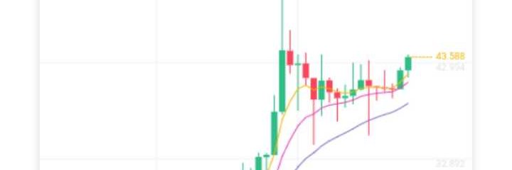Cryptodude banner