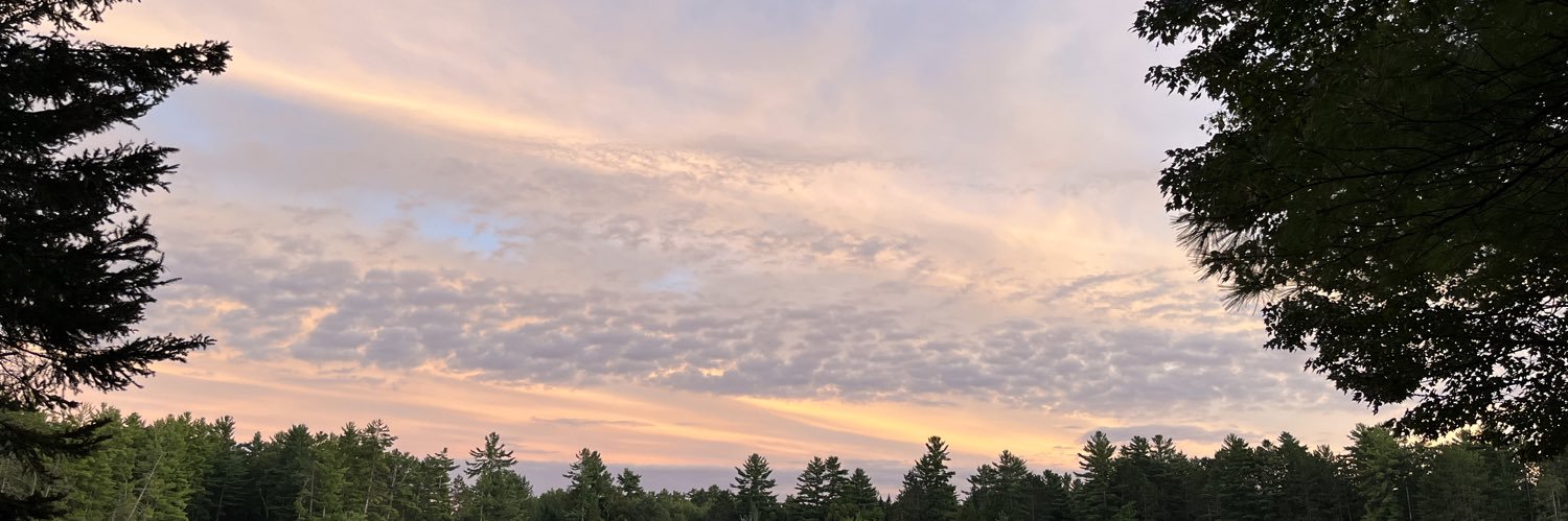 Steven W Skinner banner