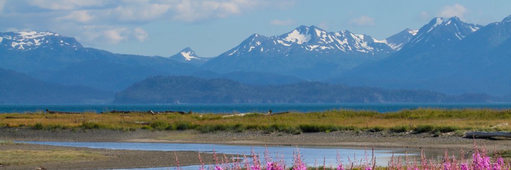 AlaskaTourscom's profile banner image