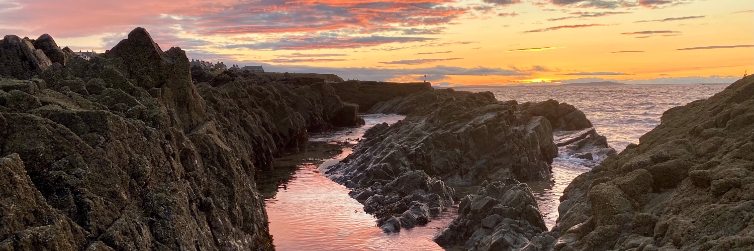 Guillaume Chartier banner