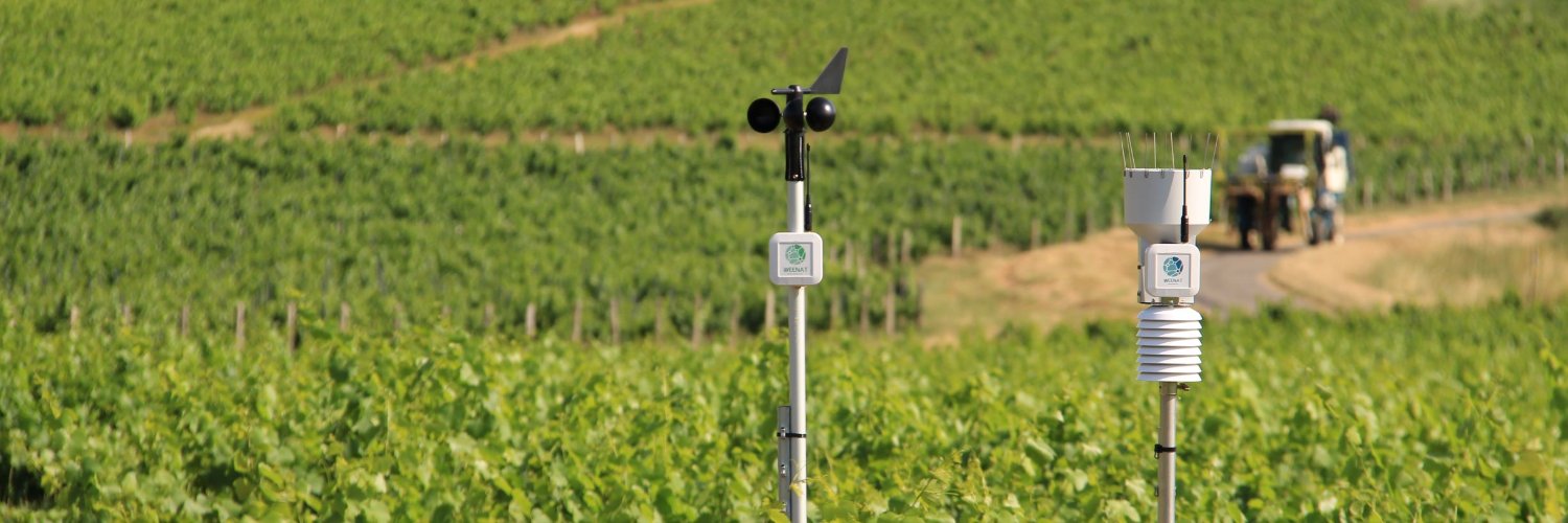 Jerome LE ROY banner