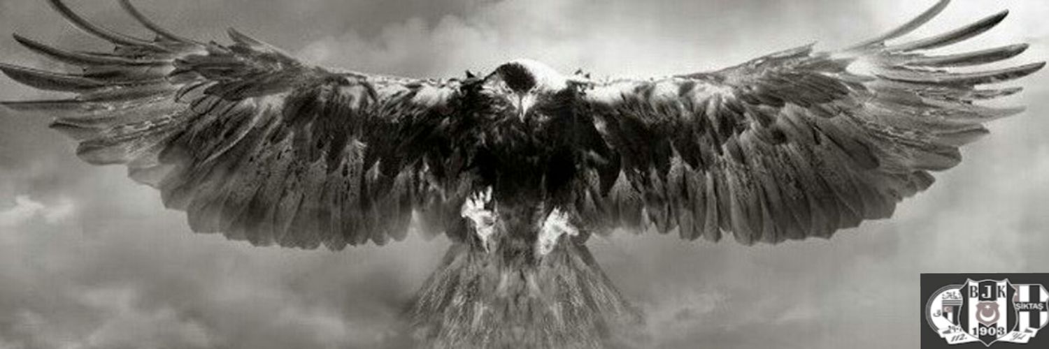 fatih_bbroglu's profile banner image