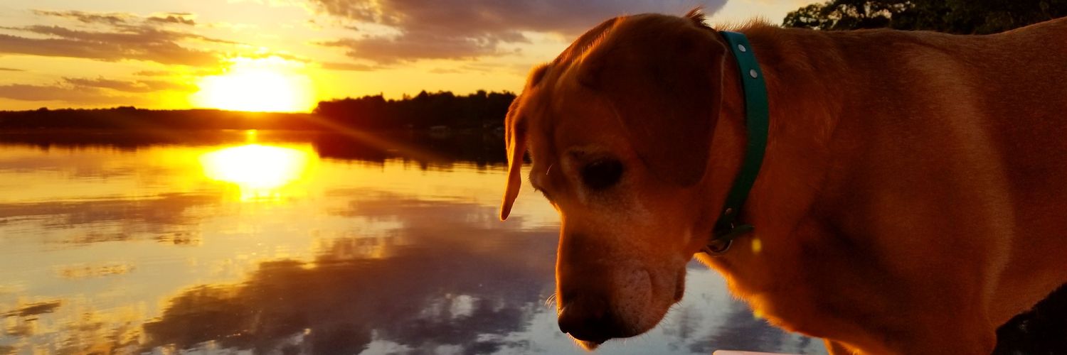 tjclow's profile banner image
