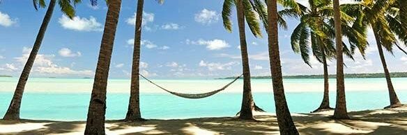 emeraldnomad64's profile banner image