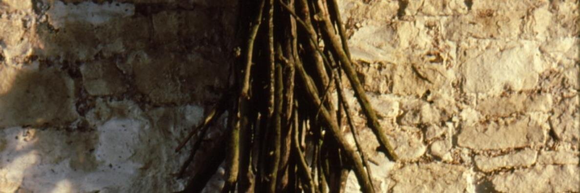 deMontpelier's profile banner image