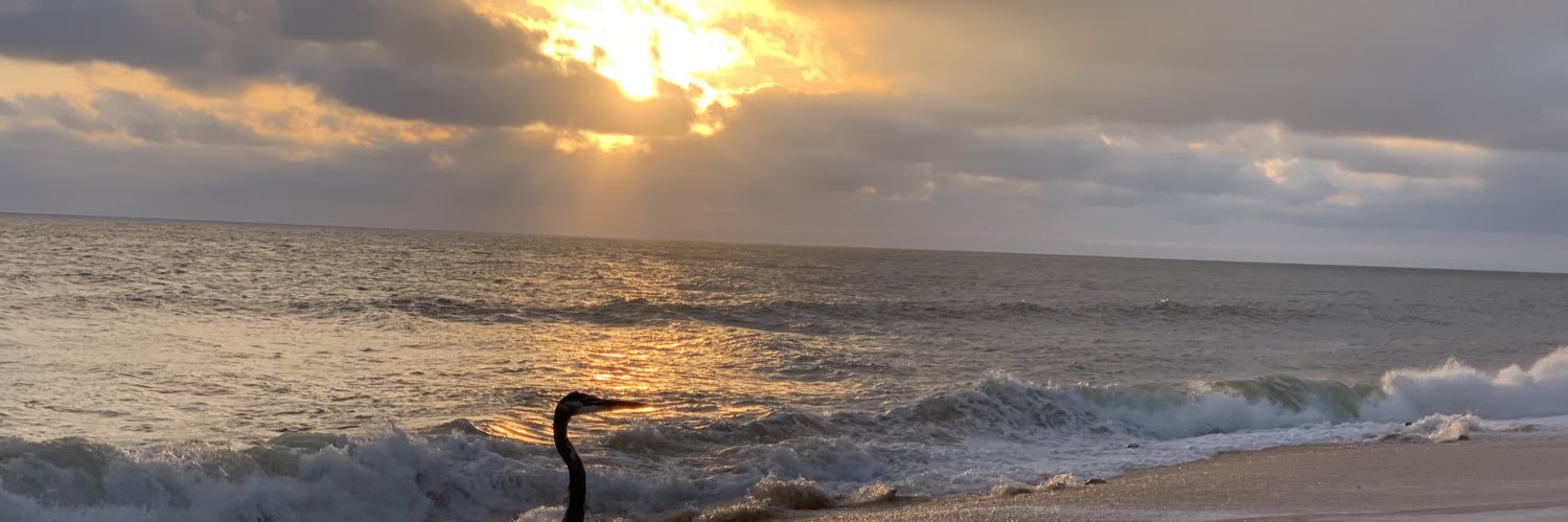 CarrieLKelly's profile banner image