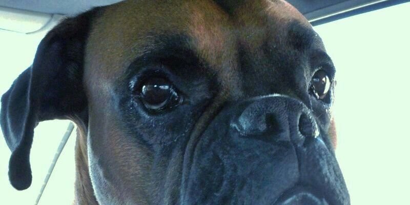 Richikong's profile banner image
