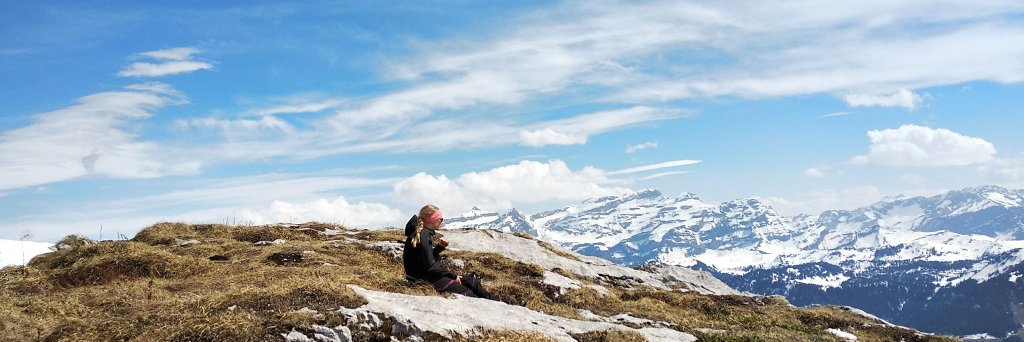 Elisabeth Dahlqwist banner