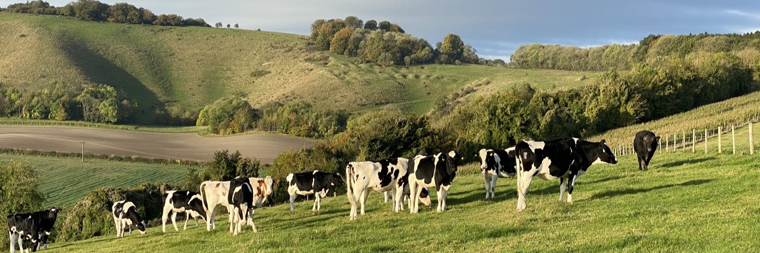 𝐃𝐚𝐯𝐢𝐝 𝐁𝐮𝐭𝐥𝐞𝐫 🇺🇦 banner