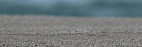 sandraadell Profile Banner