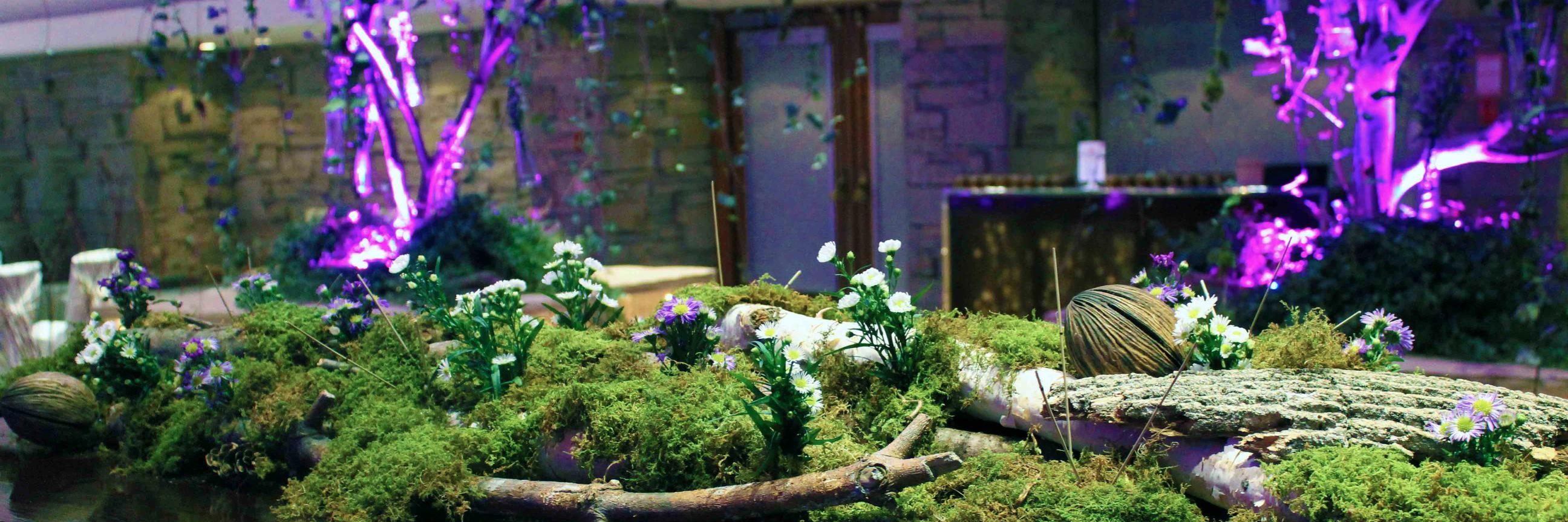 OpeningNFlowers's profile banner image