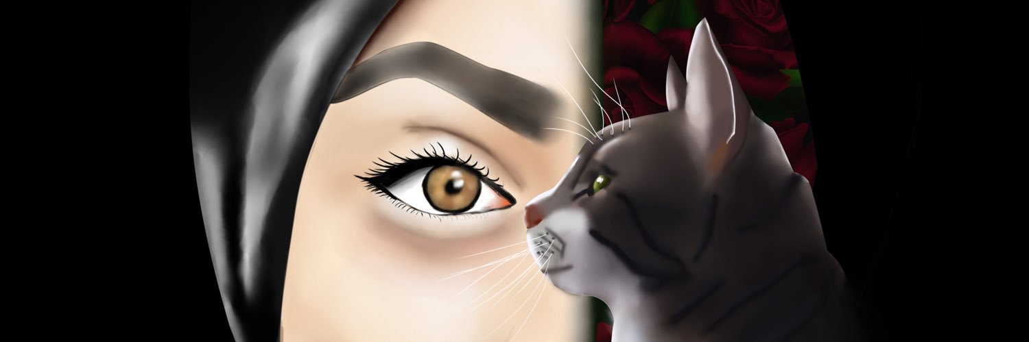 alidiyebirisii's profile banner image