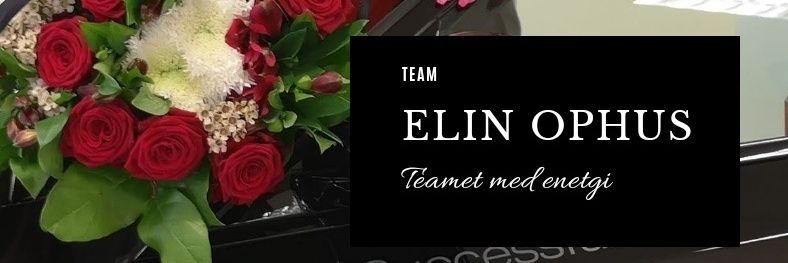 ElinOphus's profile banner image