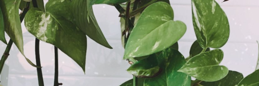 ohheysiff's profile banner image