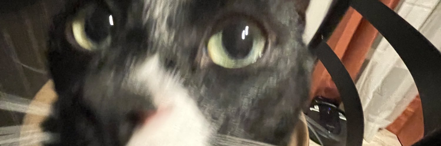 chlhtfld's profile banner image