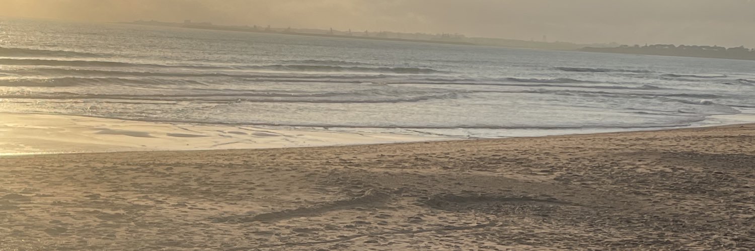 Elena Prado-Mel banner