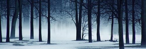 EvanRPGXM's profile banner image