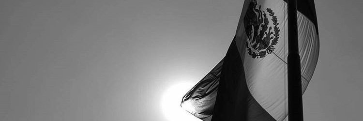 Daisy banner