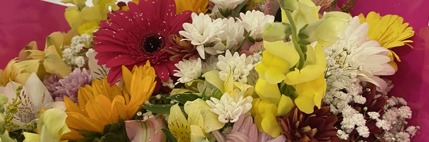 _Luisa_B's profile banner image