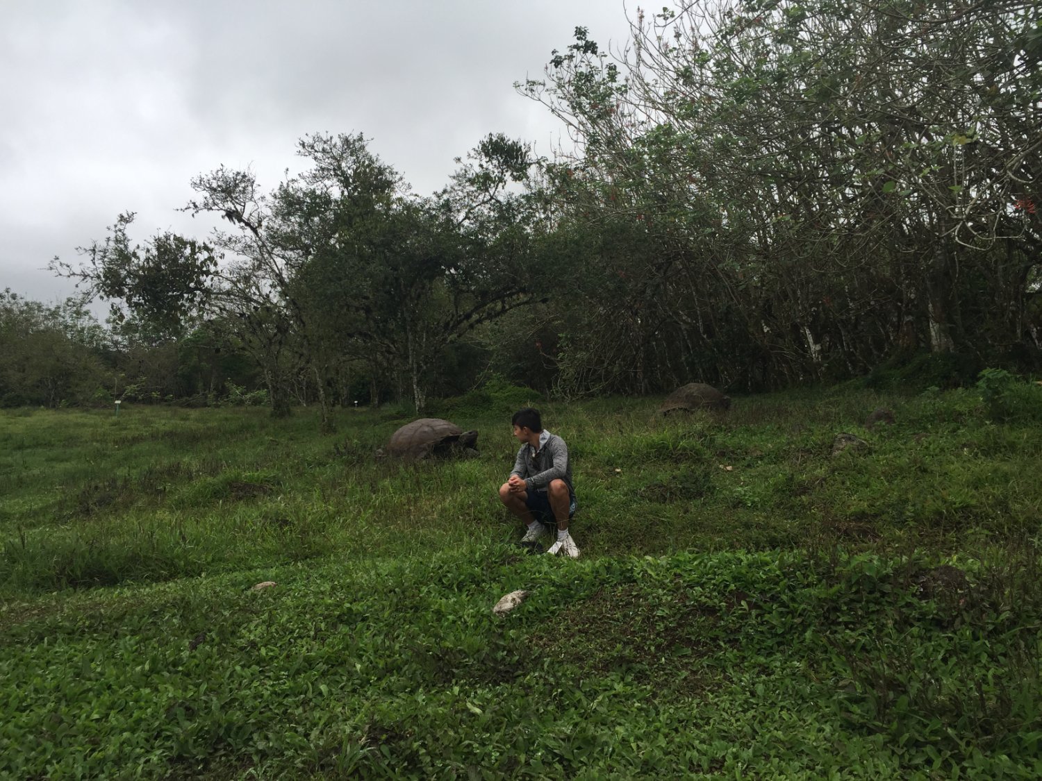 Banchisxx's profile banner image