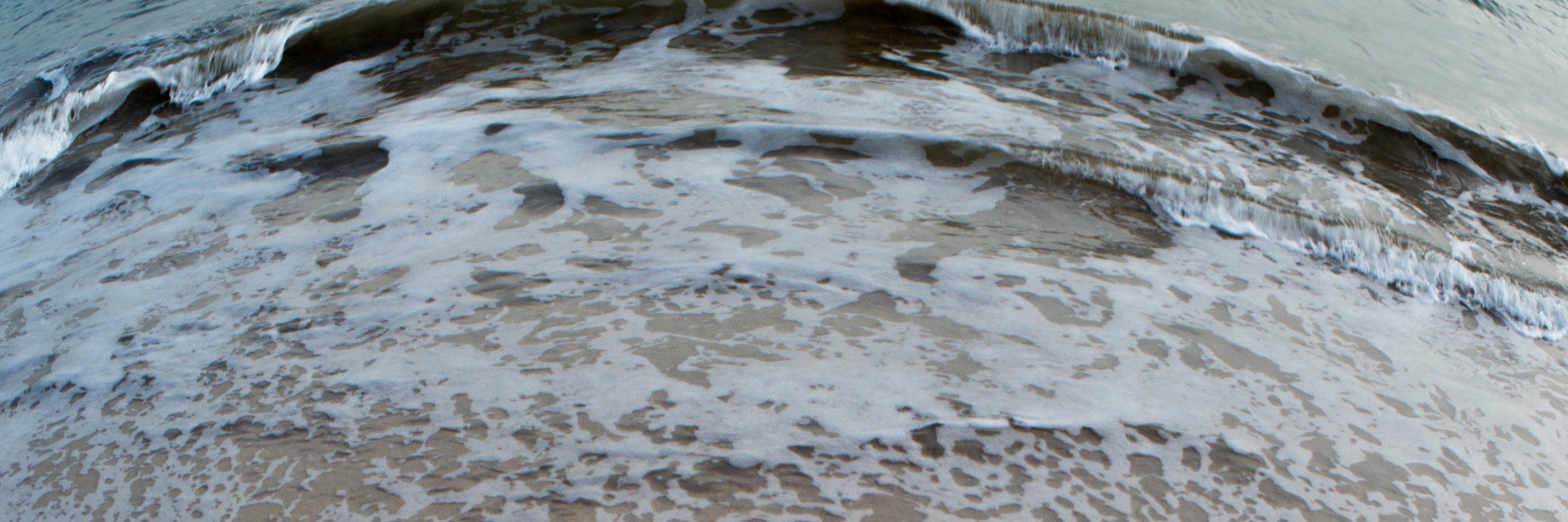 Fetuchini  banner