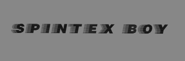 Spintex Boy banner