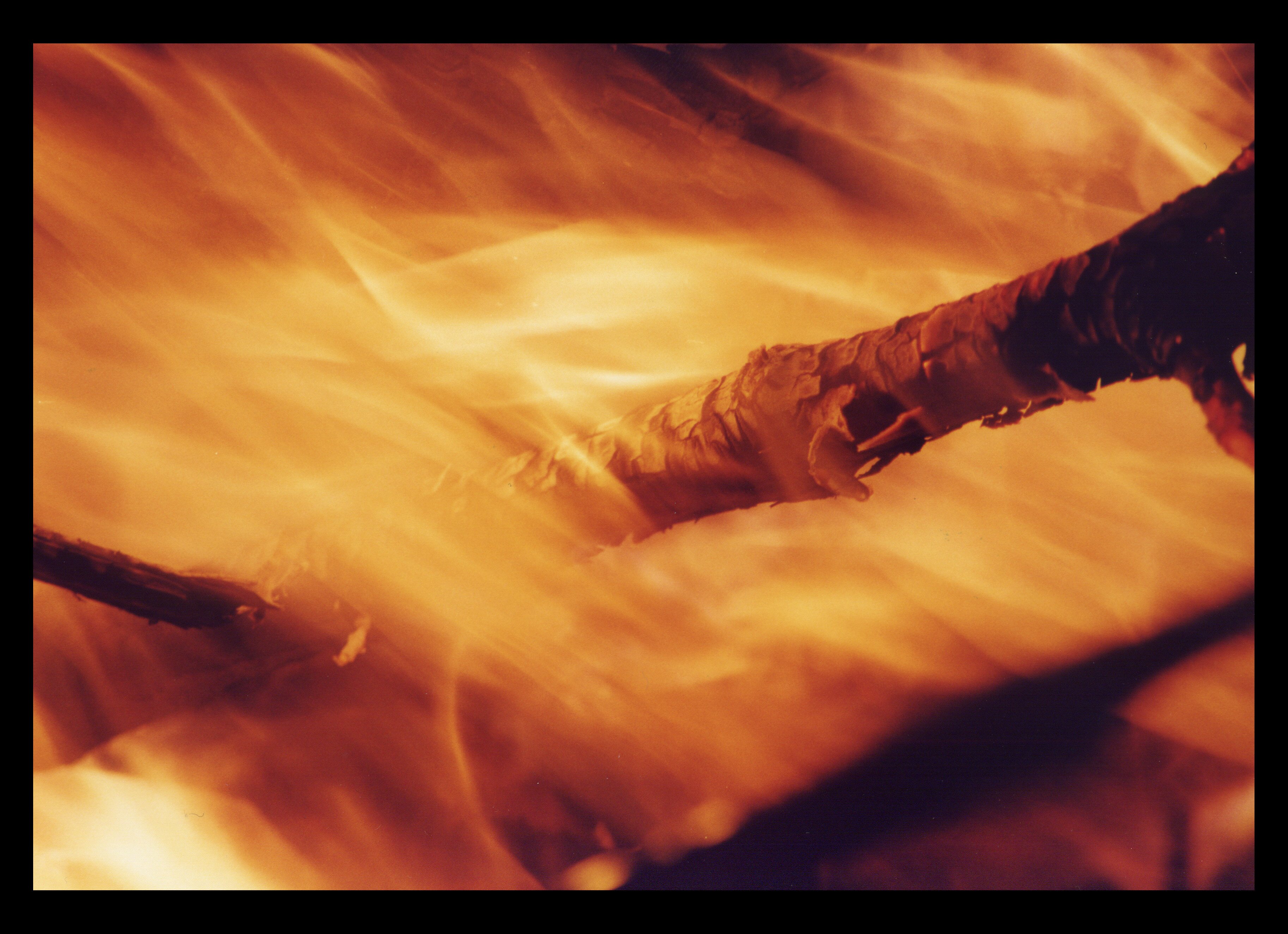 toadhamlin's profile banner image