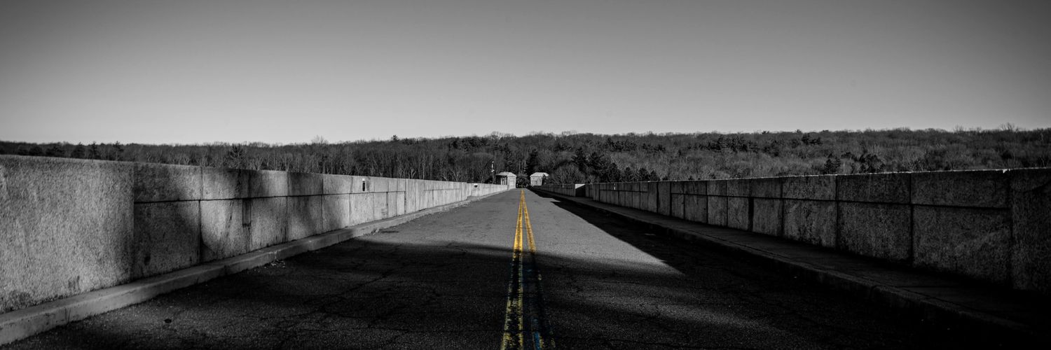 AlexDeLion96's profile banner image
