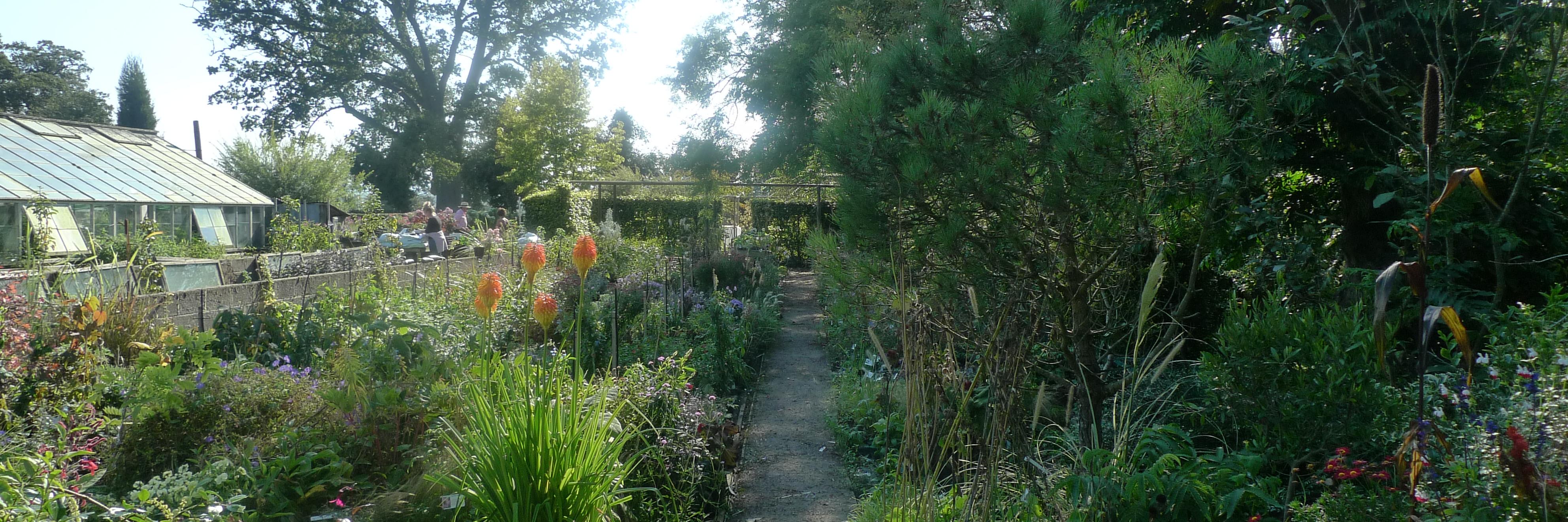 Botanic Nursery banner