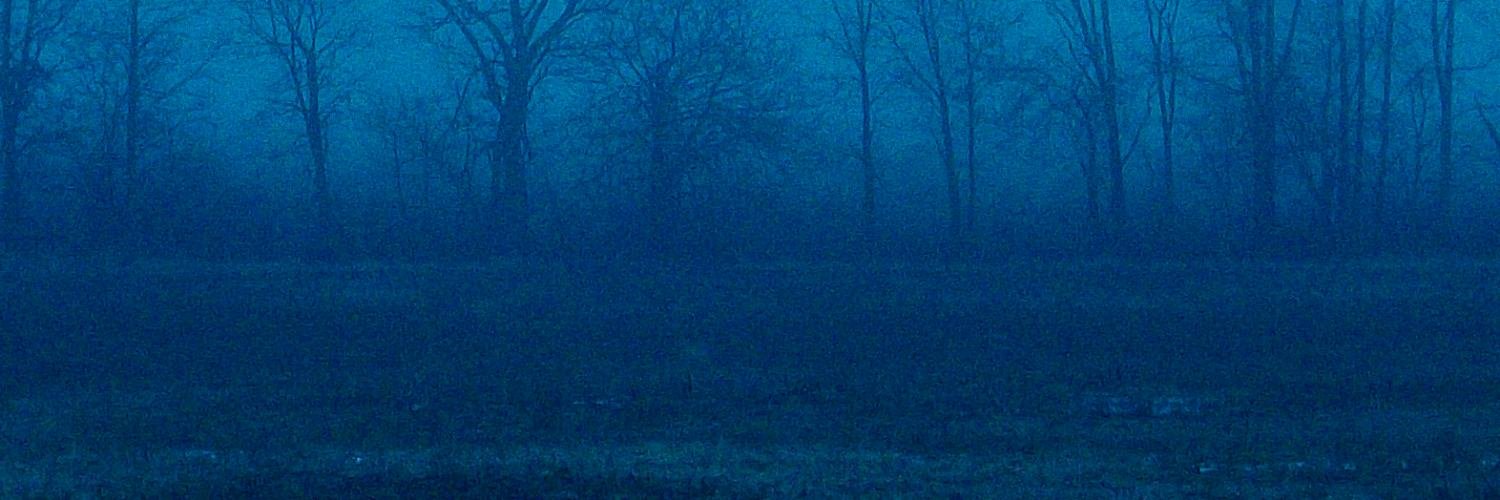 RustCohleGames's profile banner image