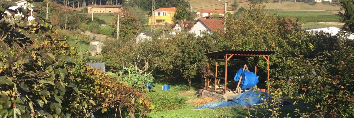 Rebeca_Caro_'s profile banner image