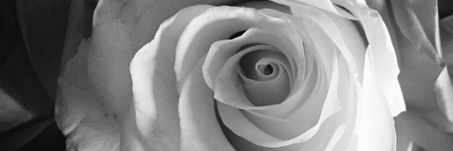 Lori Maher McCombs banner