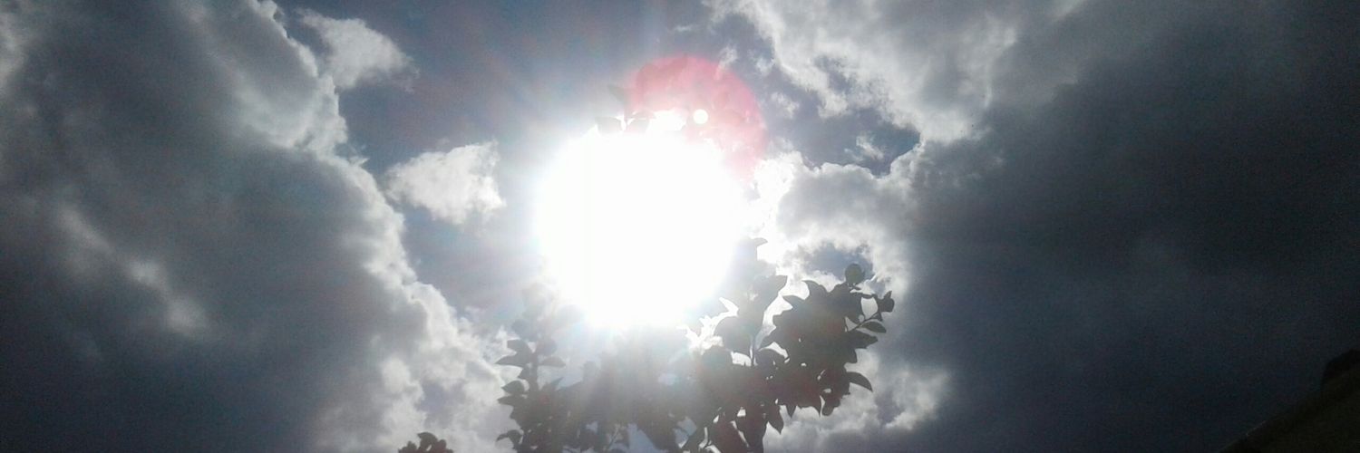 ludmilamerluzzi's profile banner image