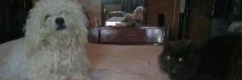buffa21's profile banner image