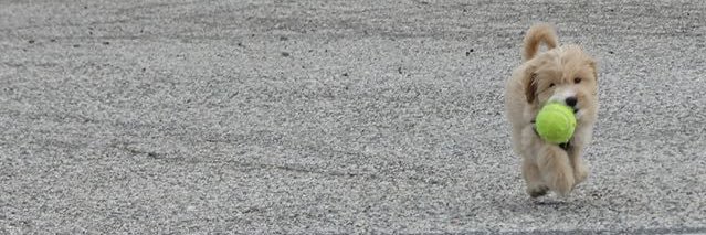 cxxnthia's profile banner image